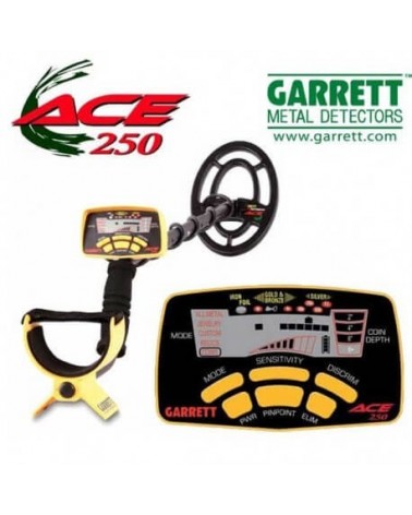 Garraett ACE 250