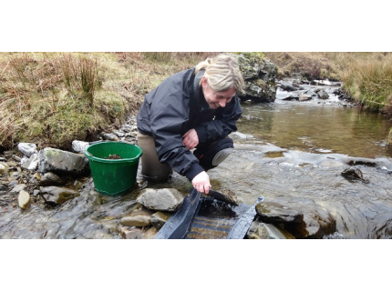 Sluices - gold panning washing ramps