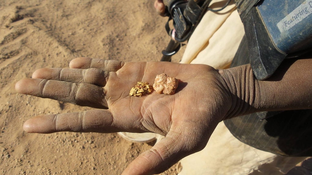 Détecteur de pépites d'or Minelab GPX 5000