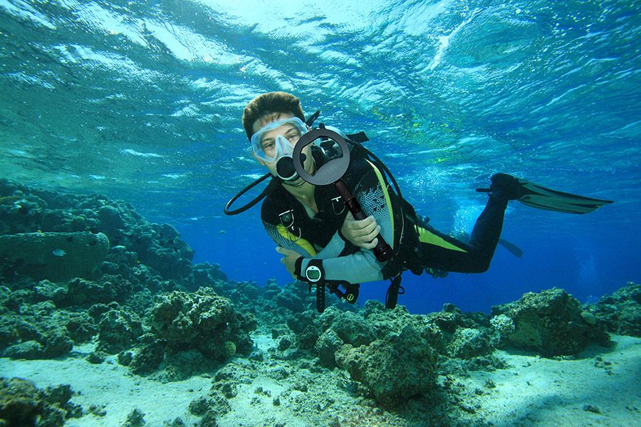 pulsedive-scuba-under-the-sea.jpg